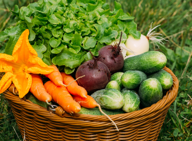 Mercado Agroecológico  Santo António
