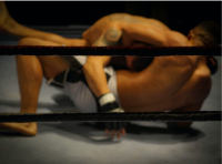 Wrestlefest - Combates de Wrestling