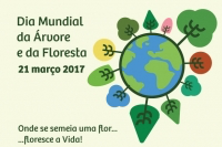 Dia Internacional da Árvore e da Floresta