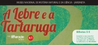 Teatro Infantil "Lebre e a Tartaruga"