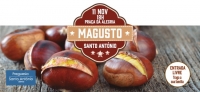 Magusto'19