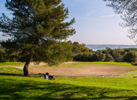 Caminhar em Monsanto